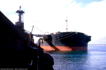1984 - LICORNE ATLANTIQUE En chargement à Port Walcott photo