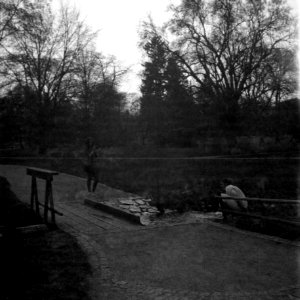 Flexaret 3a - Photographers in the Park photo