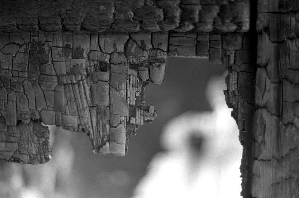 Praktica BC1 - Poetics of Burned Crate