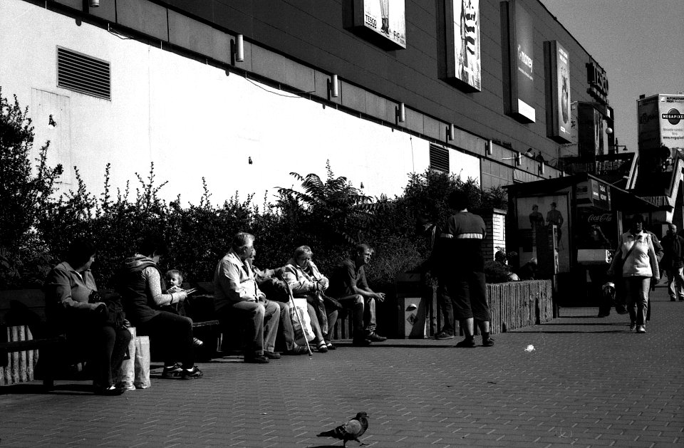 Praktica Super TL +  Helios 44-2 2/58 -  Street Contrasts