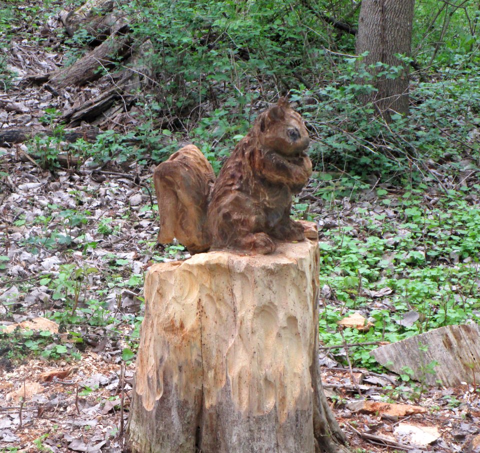 IMG 2168c Tree Carving Gar Creek Kankakee IL 4-29-2016