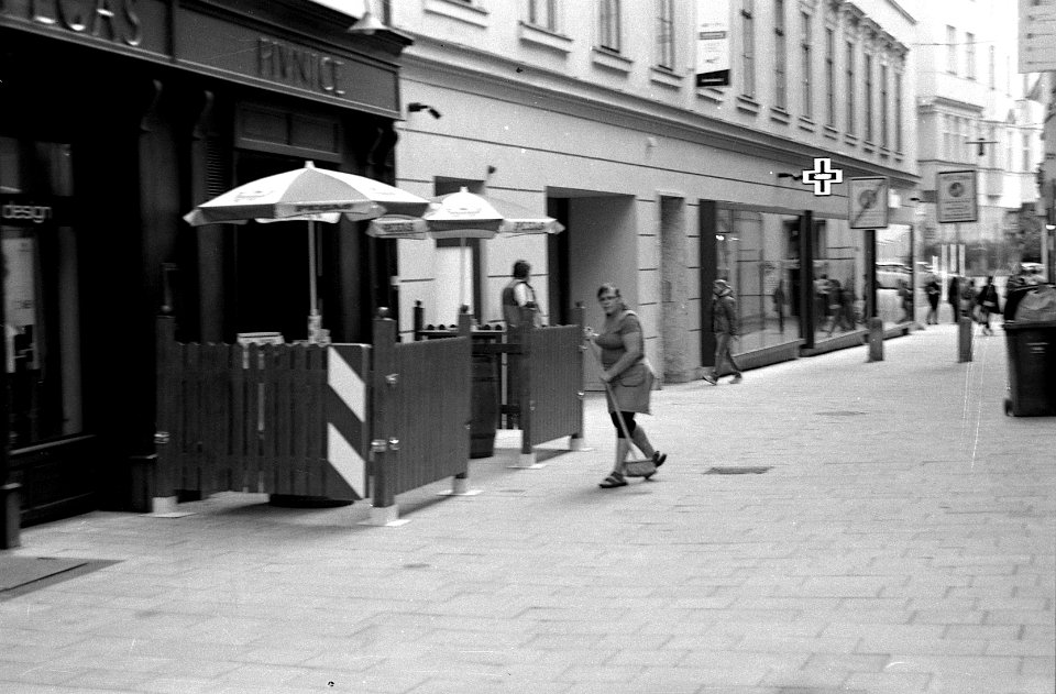 Ricoh TLS 401 with Helios 44-2 - Sweeping Lady