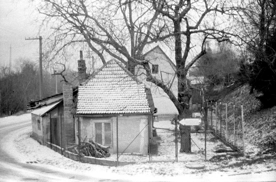 Praktica BMS - Písečník Colony