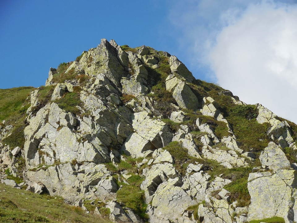 Landscape rock grass