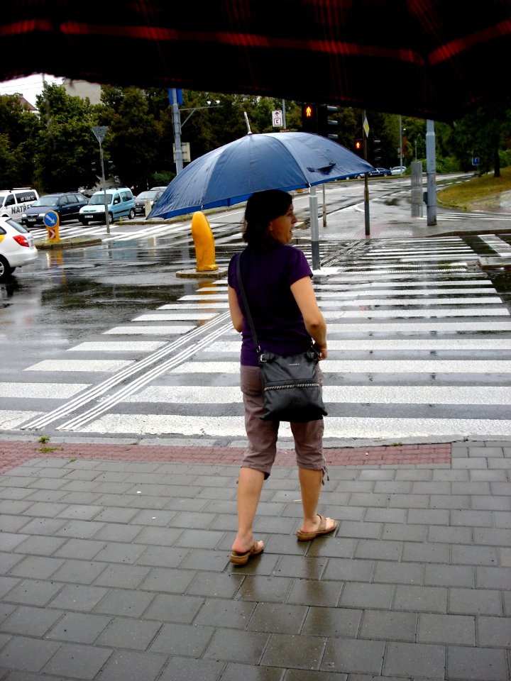 Colours of Rainy Day 1