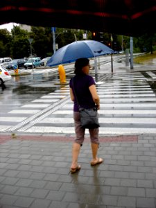 Colours of Rainy Day 1