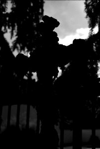 Canon EOS 30 with Canon EF 50mm f/1,8 II - Sloup Cemetery 01