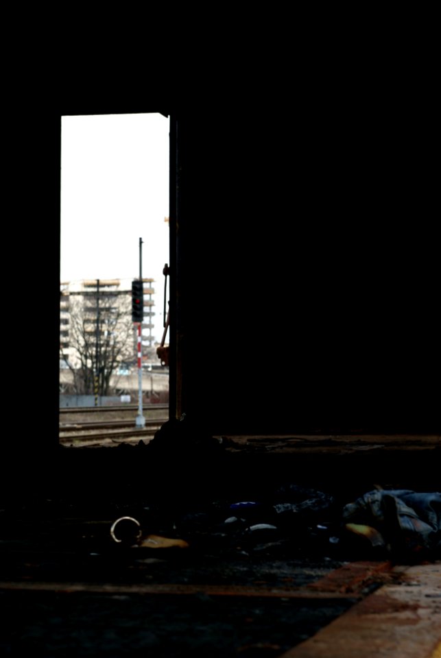 Sony Alpha A230 with Helios-44-2 - Railway Graveyard 09