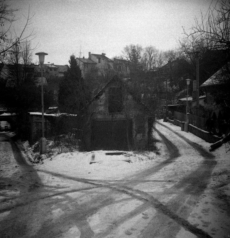 Altix I - Písečník Colony 04