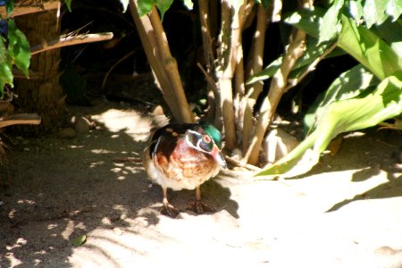 DSC08605