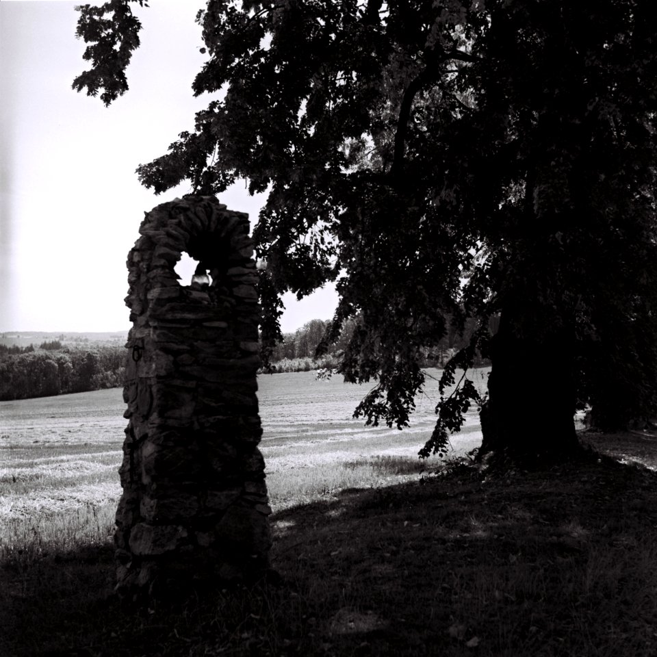 Flexaret 3a - Column in Nové Dvory Linden Avenue