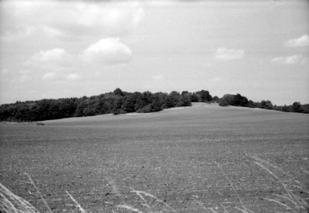 Agfa Optima 1a - Moravian Karst Landscape 02