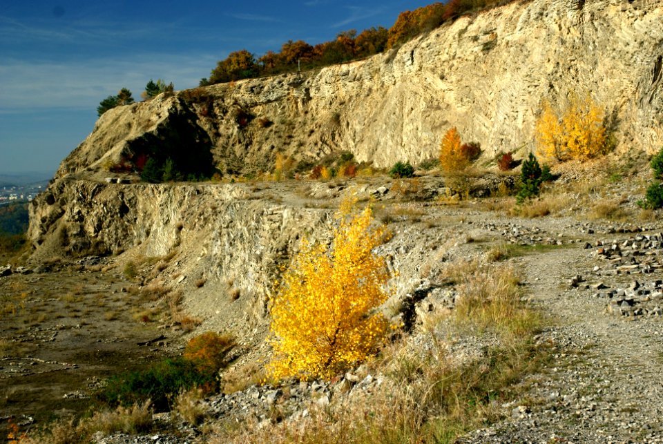 Sony Alpha A230 with MIR-1V - Hády Hill - Stone Quarry 03