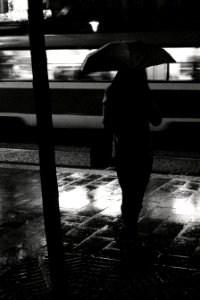 Tram Stop Česká at Night 01