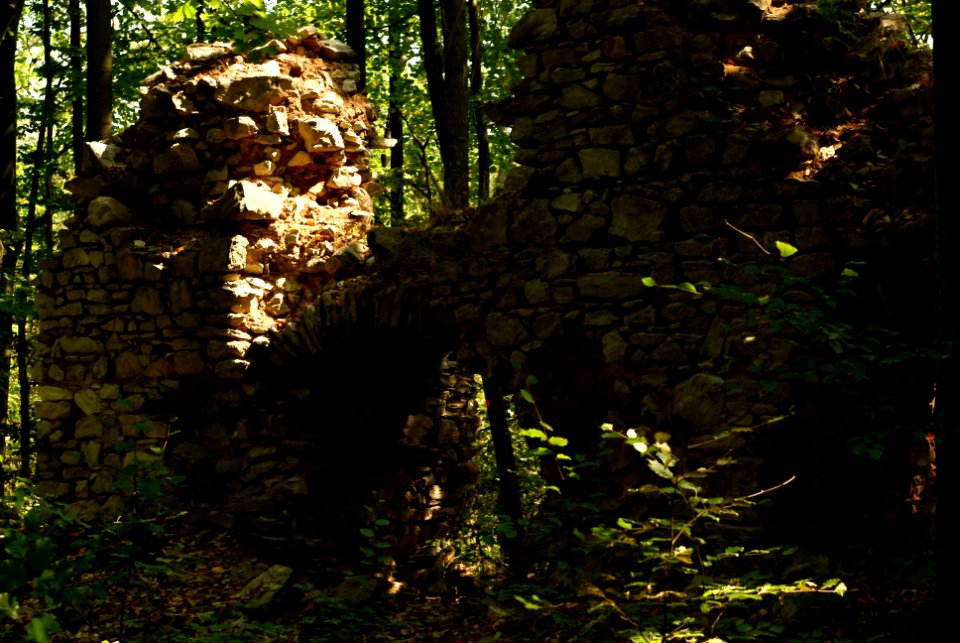 Sony Alpha A230 with Helios-44-2 - Amongst the Ruins of Blansek Castle 10