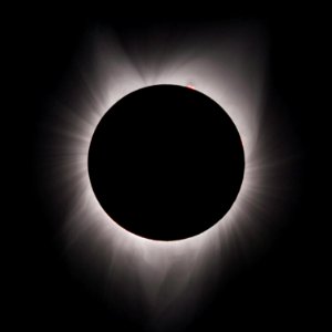 Corona with Prominences 8-21-17