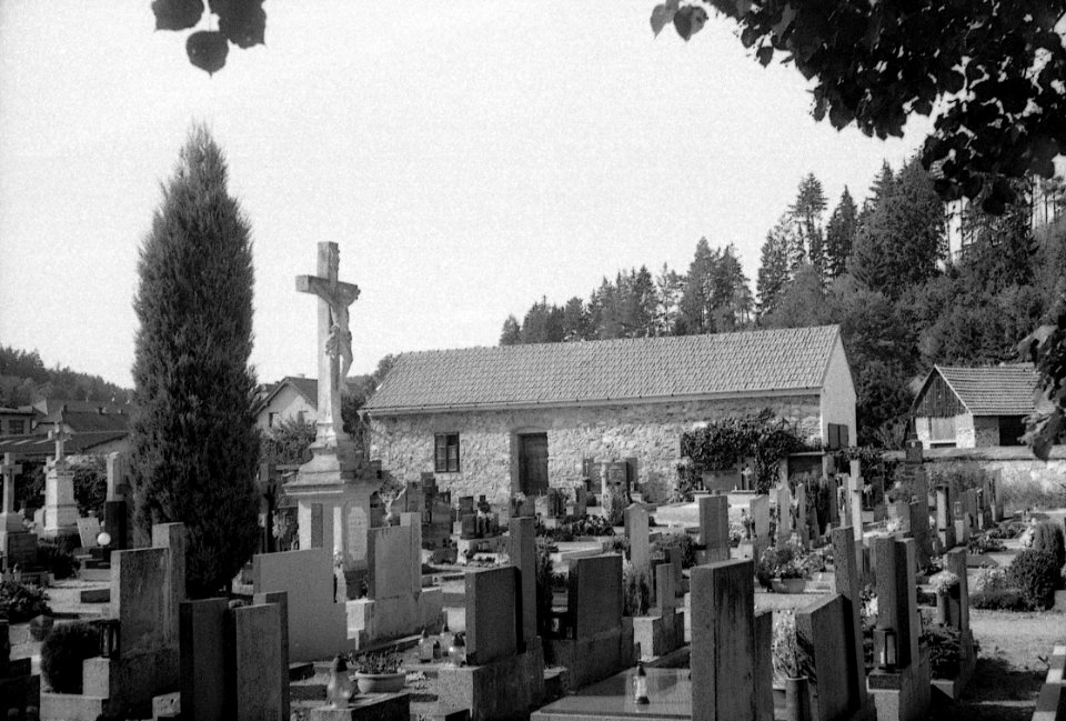 Agfa Optima 1a - Sloup Cemetery 03