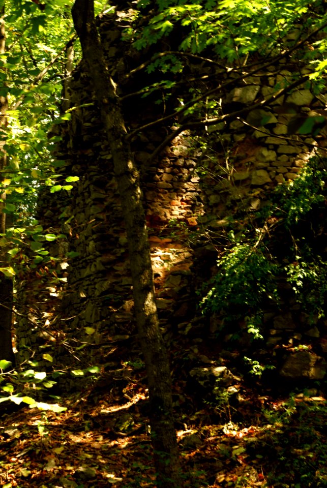 Sony Alpha A230 with Helios-44-2 - Amongst the Ruins of Blansek Castle 08