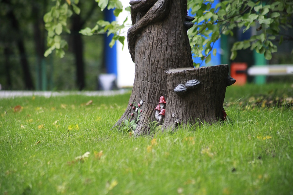 Grass penëk trunk
