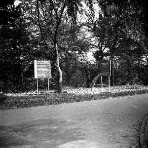 Altix I - Hospital Path