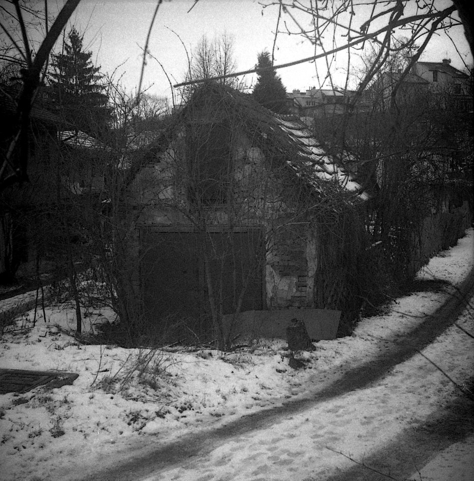 Altix I - Písečník Colony 06