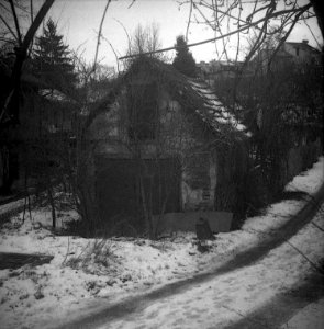 Altix I - Písečník Colony 06