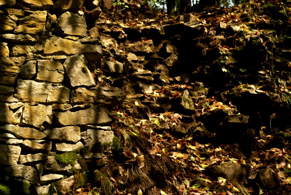 Sony Alpha A230 with Helios-44-2 - Amongst the Ruins of Blansek Castle 02