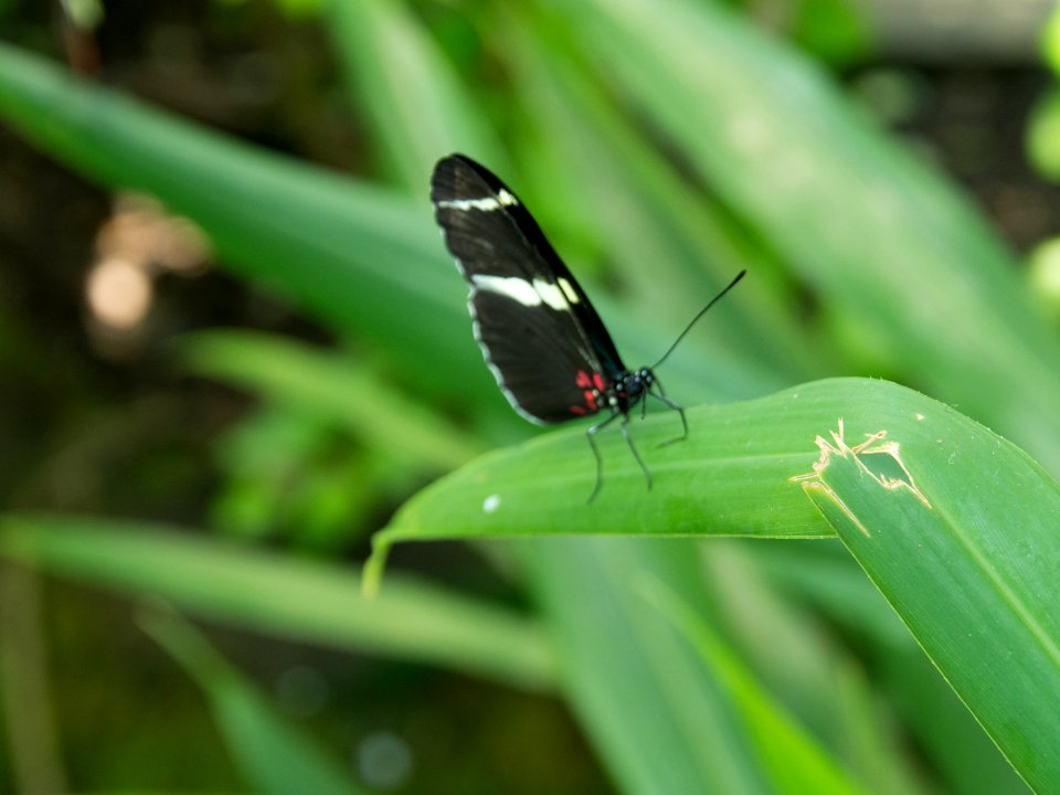 P5140147