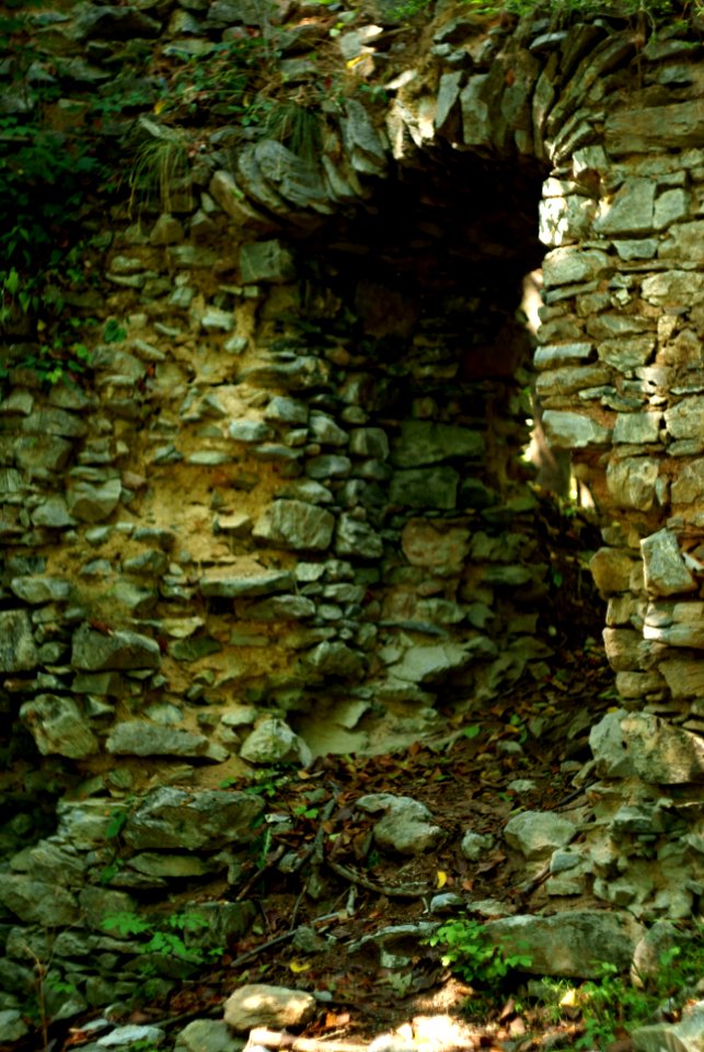 Sony Alpha A230 with Helios-44-2 - Amongst the Ruins of Blansek Castle 06