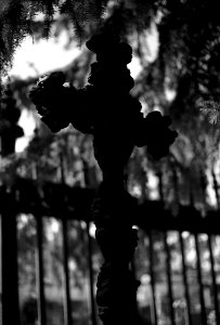 Canon EOS 30 with Canon EF 50mm f/1,8 II - Sloup Cemetery 04