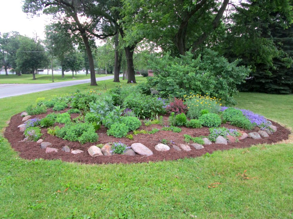 IMG 1653 Beckman Park Berm #1 Kankakee IL 6-7-2015
