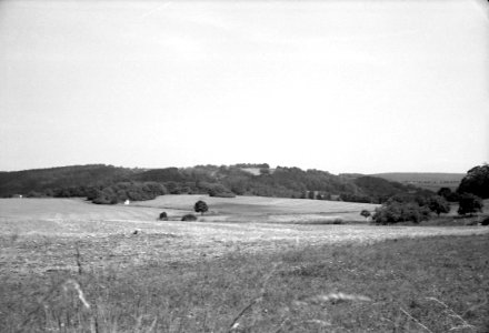Agfa Optima 1a - Moravian Karst Landscape 04