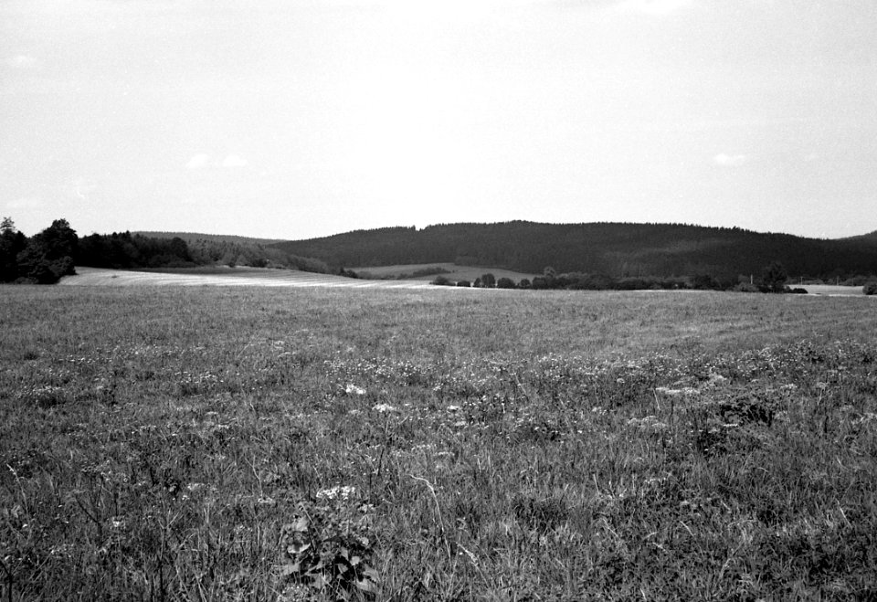 Agfa Optima 1a - Moravian Karst Landscape 03