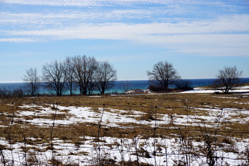 Farm field near Pickering