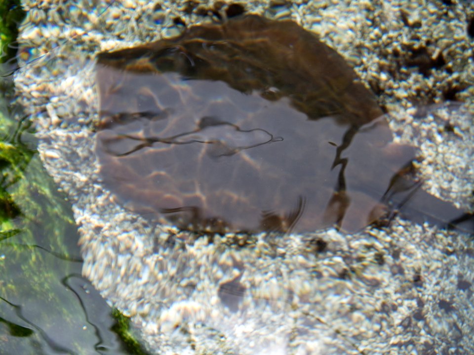 P5140273