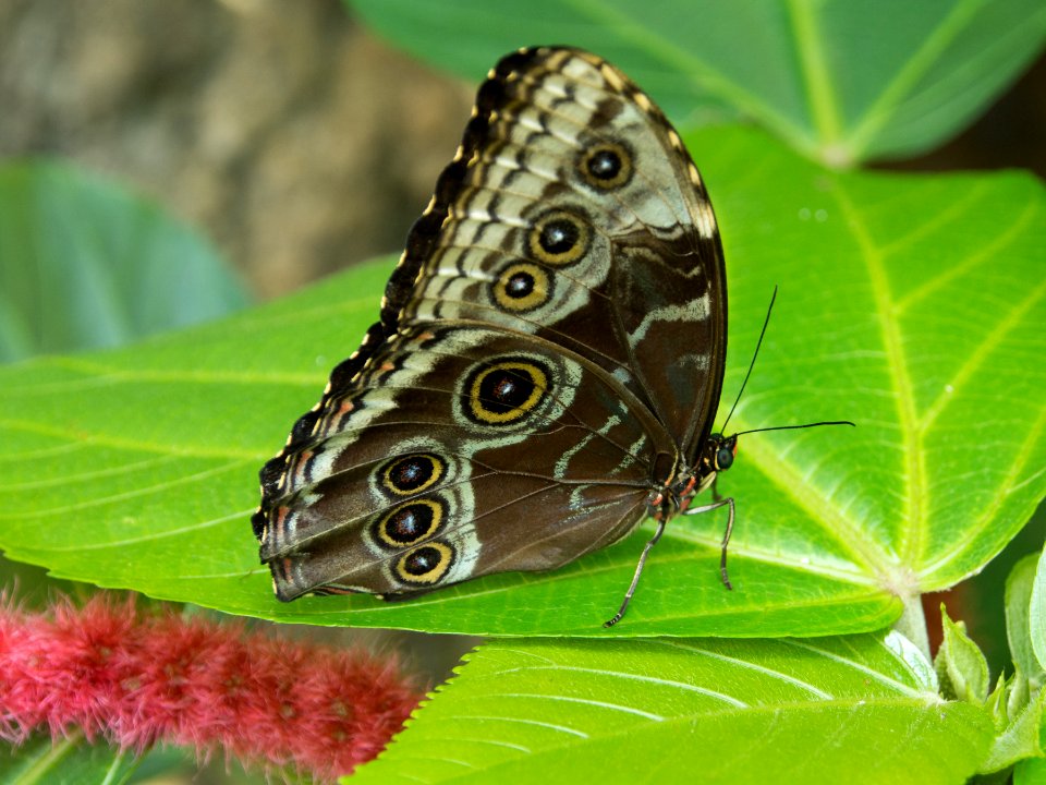 P5140160