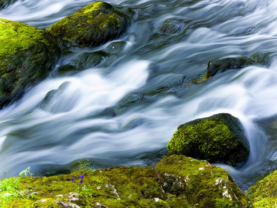 Dynamics nature stone