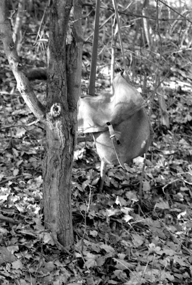 Ricoh TLS 401 + Industar-61 L/Z - Knapsack