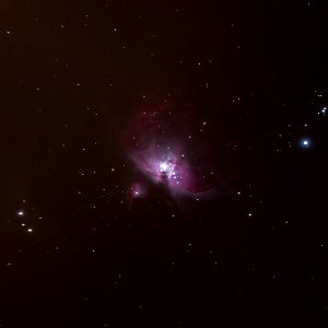 M42 - Orion Nebula photo