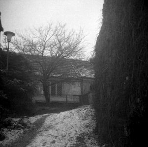 Altix I - Písečník Colony 02