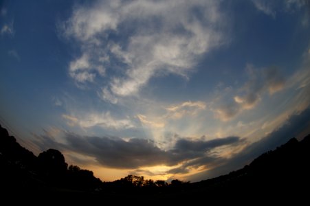 DSC02538