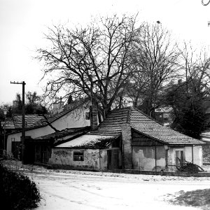 Flexaret 3a - Písečník Colony 2 photo