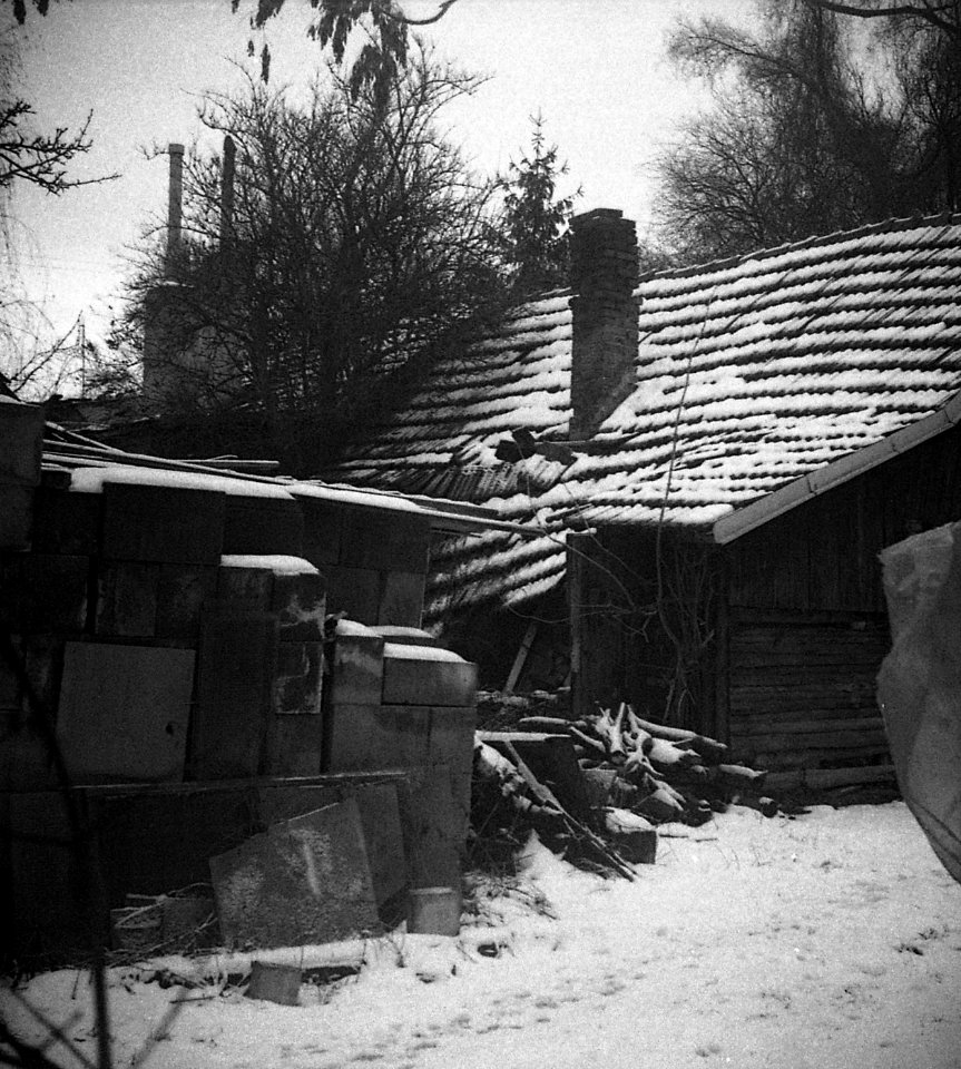 Altix I - Písečník Colony 04