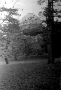 Vega II - Strange Object in the Park photo