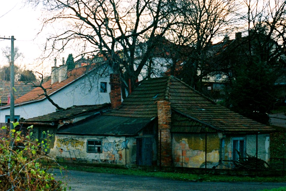 Zorki 4 + Industar-61 L/D - Písečník Colony 05
