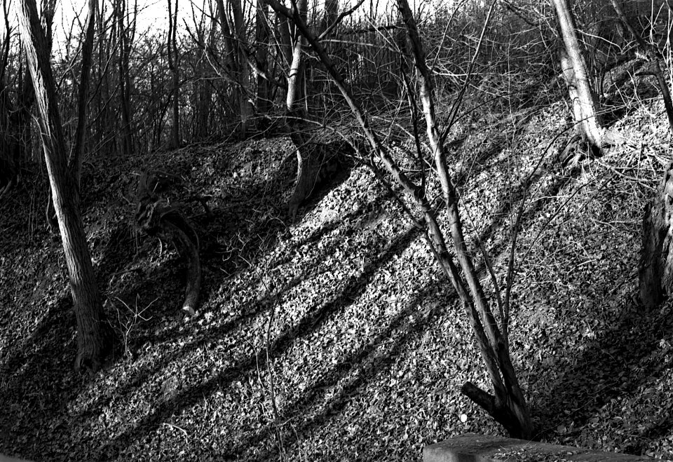 Canon EOS 30 - St. Anthony's Chapel and Sourroundings (Brno-Lesná) 03