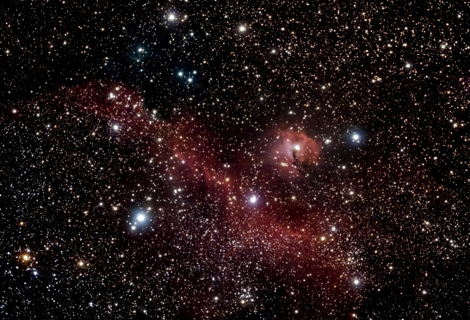 The Seagull Nebula