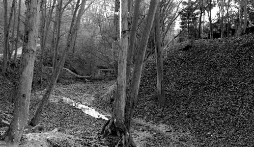 Canon EOS 30 - St. Anthony's Chapel and Sourroundings (Brno-Lesná) 07