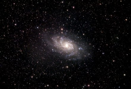 The Triangulum Galaxy photo