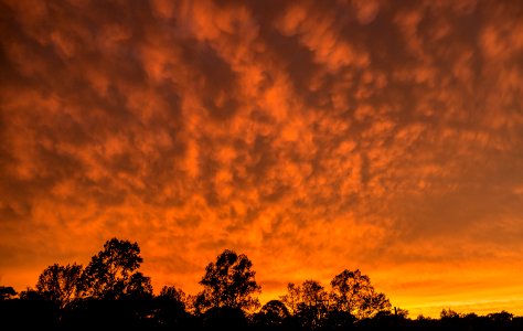 After the Storms of 4-3-17